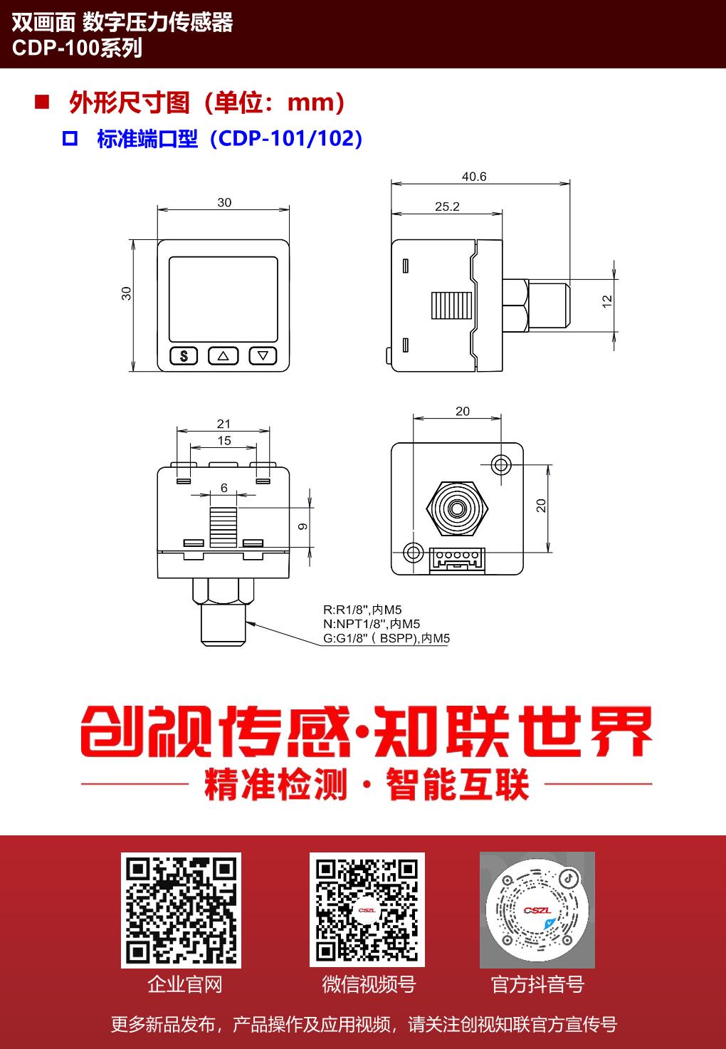 CDP-101 7.jpg